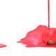 Illustration for article titled 10 Photos Of Things Splashed With Paint And Other Stuff